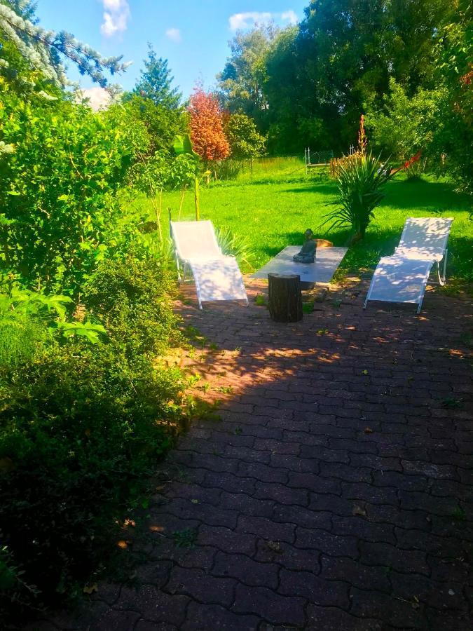 Lilly Bulles En Champagne Piscine Et Jardin Privee Appartement Pierry Buitenkant foto